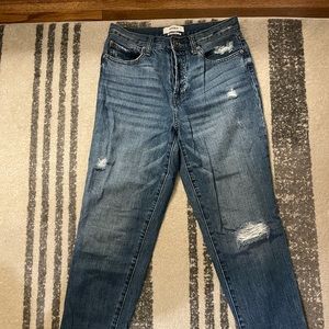 Pistola Denim Presley High Rise Vintage 90s Roller